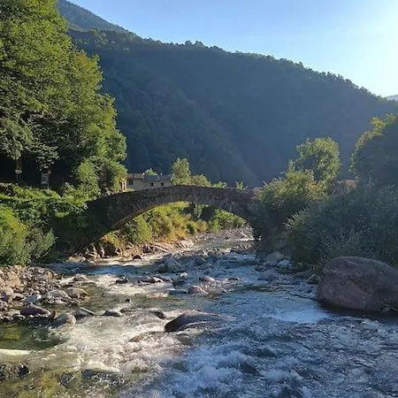 Muggio *